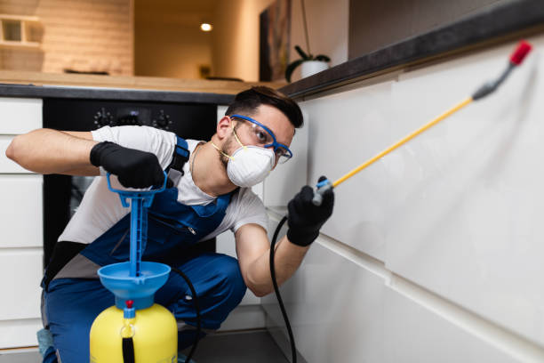  East Stroudsburg, PA Pest Control Pros