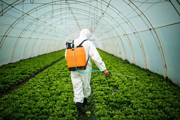 Best Mosquito Control Services  in East Stroudsburg, PA